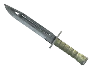 ★ Bayonet | Damascus Steel (Well-Worn)