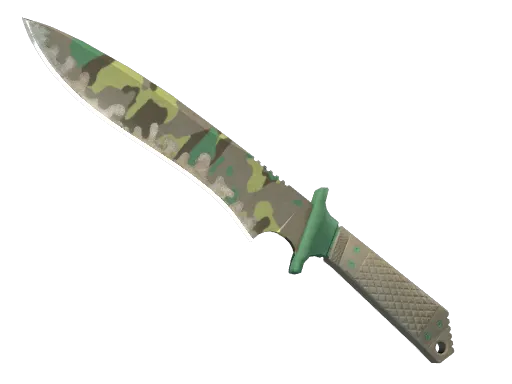 Boreal Forest