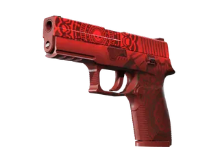 P250 | Muertos (Field-Tested)