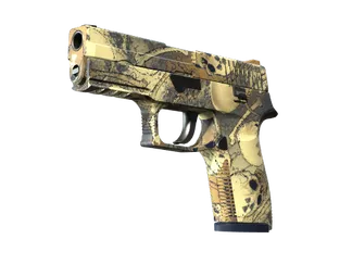 P250 | Contamination (Minimal Wear)