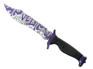 ★ Bowie Knife | Freehand (Minimal Wear)