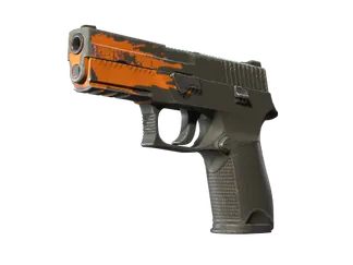 P250 | Splash (Field-Tested)