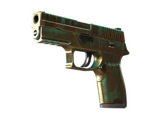 P250 | Verdigris (Well-Worn)