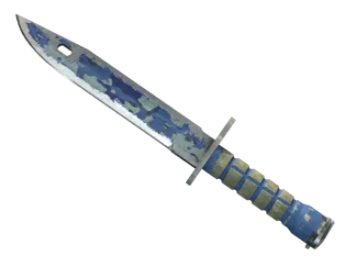 ★ Bayonet | Bright Water (Battle-Scarred)