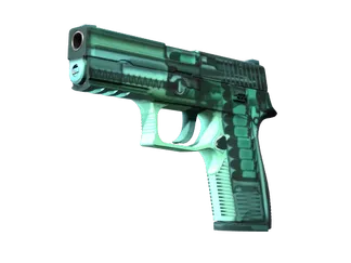 StatTrak™ P250 | X-Ray (Minimal Wear)