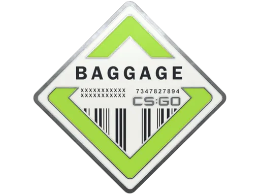 Baggage Pin