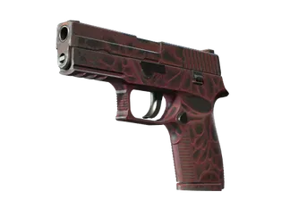 StatTrak™ P250 | Contaminant (Well-Worn)