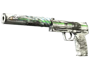 Souvenir USP-S | Road Rash (Factory New)