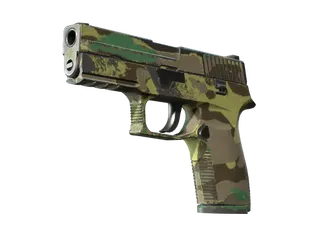 P250 | Boreal Forest (Field-Tested)