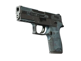 P250 | Forest Night (Battle-Scarred)