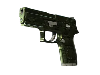 StatTrak™ P250 | Iron Clad (Factory New)