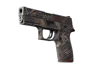 P250 | Facility Draft (Field-Tested)