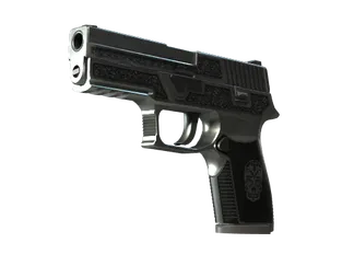 StatTrak™ P250 | Cartel (Field-Tested)