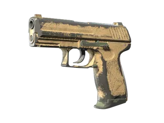 Souvenir P2000 | Grassland (Battle-Scarred)