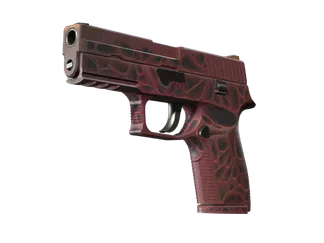 StatTrak™ P250 | Contaminant (Factory New)