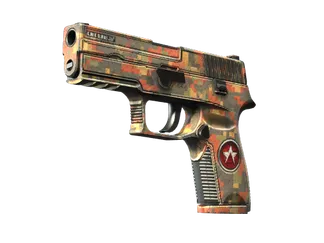 StatTrak™ P250 | Red Rock (Field-Tested)