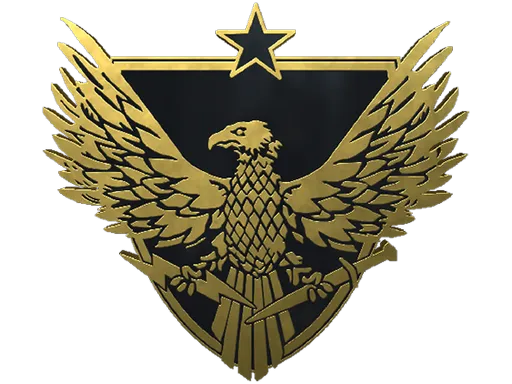 Brigadier General Pin