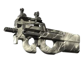 P90 | Ash Wood (Minimal Wear)
