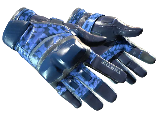 ★ Moto Gloves | Polygon