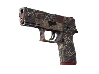 P250 | Facility Draft (Minimal Wear)