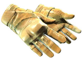 ★ Moto Gloves | Transport (Field-Tested)