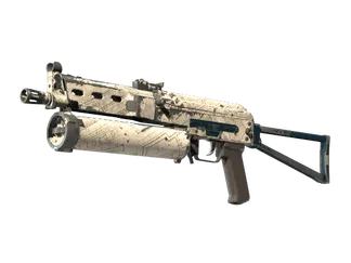 PP-Bizon | Facility Sketch (Field-Tested)