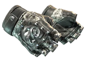 ★ Broken Fang Gloves | Unhinged (Factory New)