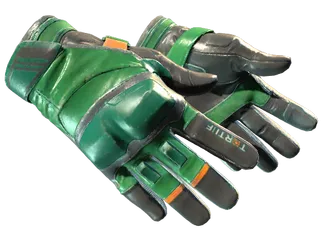 ★ Moto Gloves | Turtle (Field-Tested)