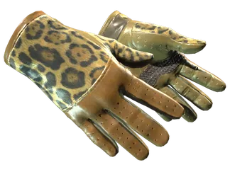 ★ Driver Gloves | Queen Jaguar (Minimal Wear)