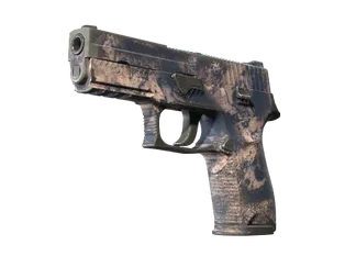 Souvenir P250 | Drought (Well-Worn)