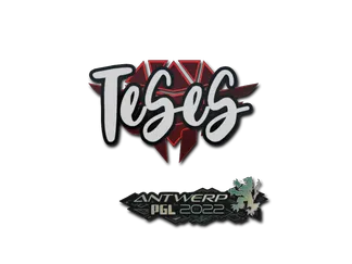 Sticker | TeSeS | Antwerp 2022