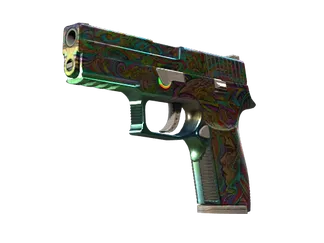 P250 | Visions (Well-Worn)