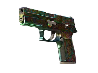 StatTrak™ P250 | Visions (Battle-Scarred)