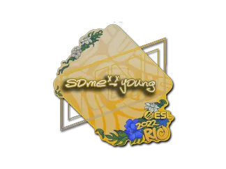 Sticker | sdy | Rio 2022