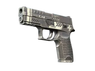 StatTrak™ P250 | Re.built (Minimal Wear)