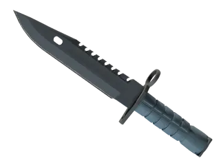 ★ M9 Bayonet | Night (Minimal Wear)