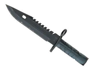 ★ M9 Bayonet | Night (Well-Worn)