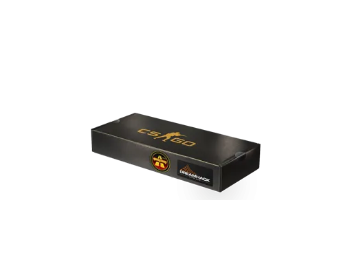 DreamHack 2014 Overpass Souvenir Package