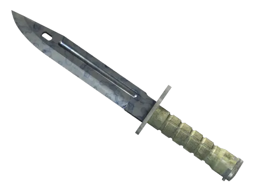 ★ Bayonet | Stained