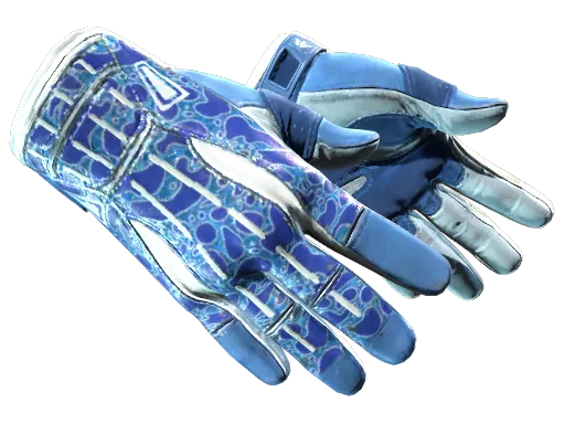 ★ Sport Gloves | Amphibious