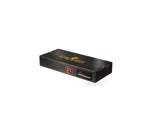 DreamHack 2014 Mirage Souvenir Package