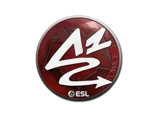 Sticker | ANGE1 | Katowice 2019