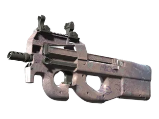 P90 | Wash me (Minimal Wear)