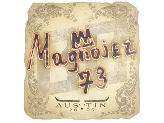 Sticker | Magnojez | Austin 2025
