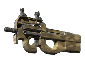 P90 | Sand Spray (Well-Worn)