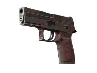 P250 | Contaminant (Battle-Scarred)