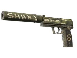 USP-S | Flashback (Factory New)