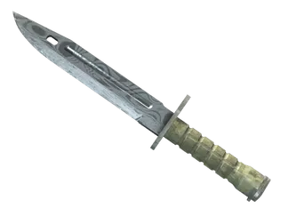 ★ Bayonet | Damascus Steel (Minimal Wear)
