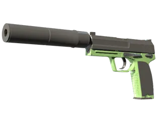 USP-S | Para Green (Factory New)