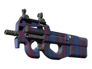 P90 | Teardown (Minimal Wear)